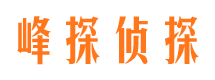 张湾找人公司